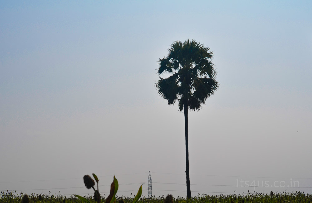 On the way to Aliyar Dam