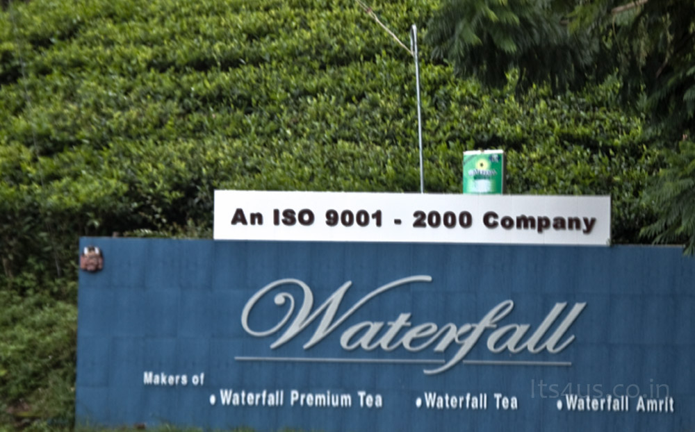 Waterfall Tea Company